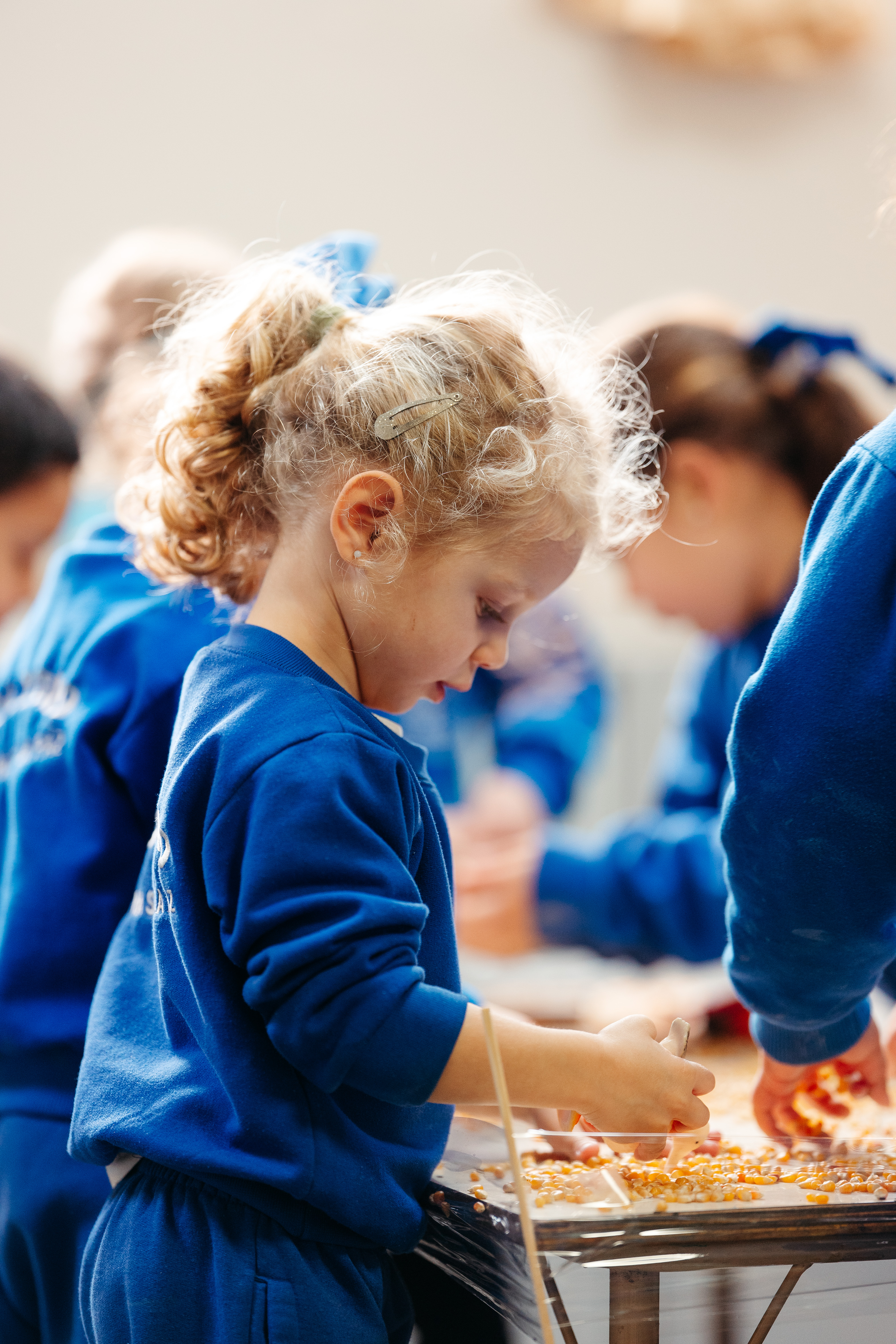 Comunidad educativa